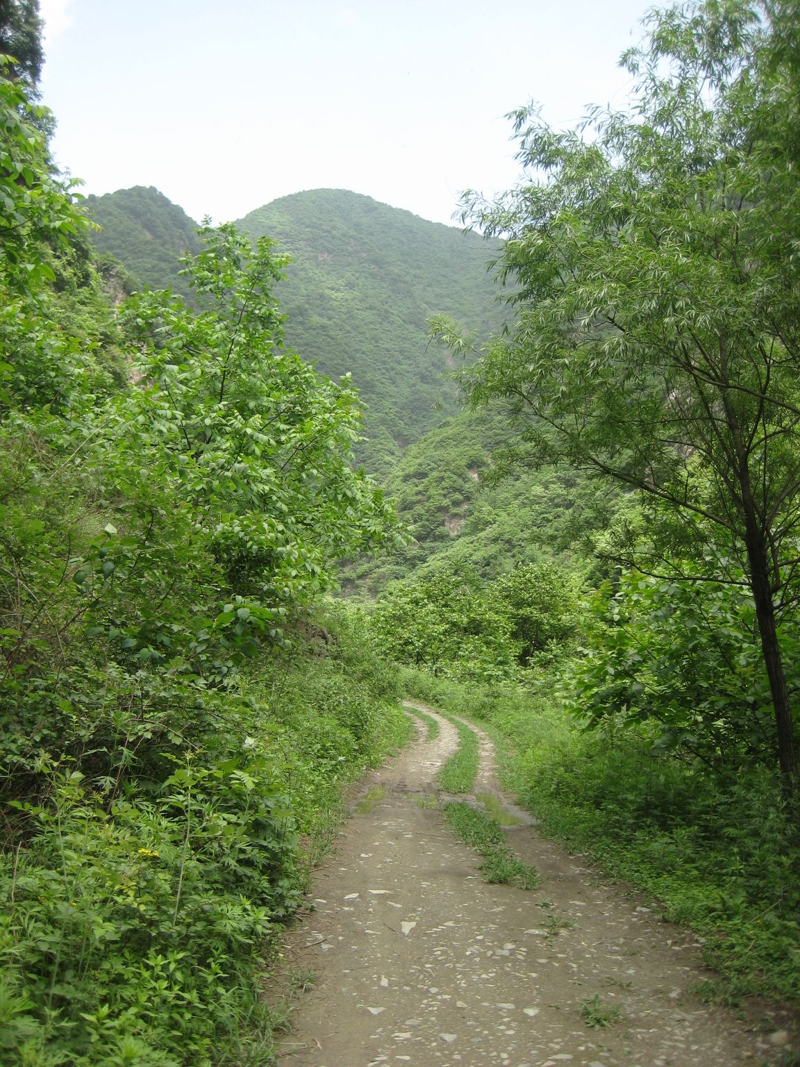 秦岭七十二峪之西甘峪