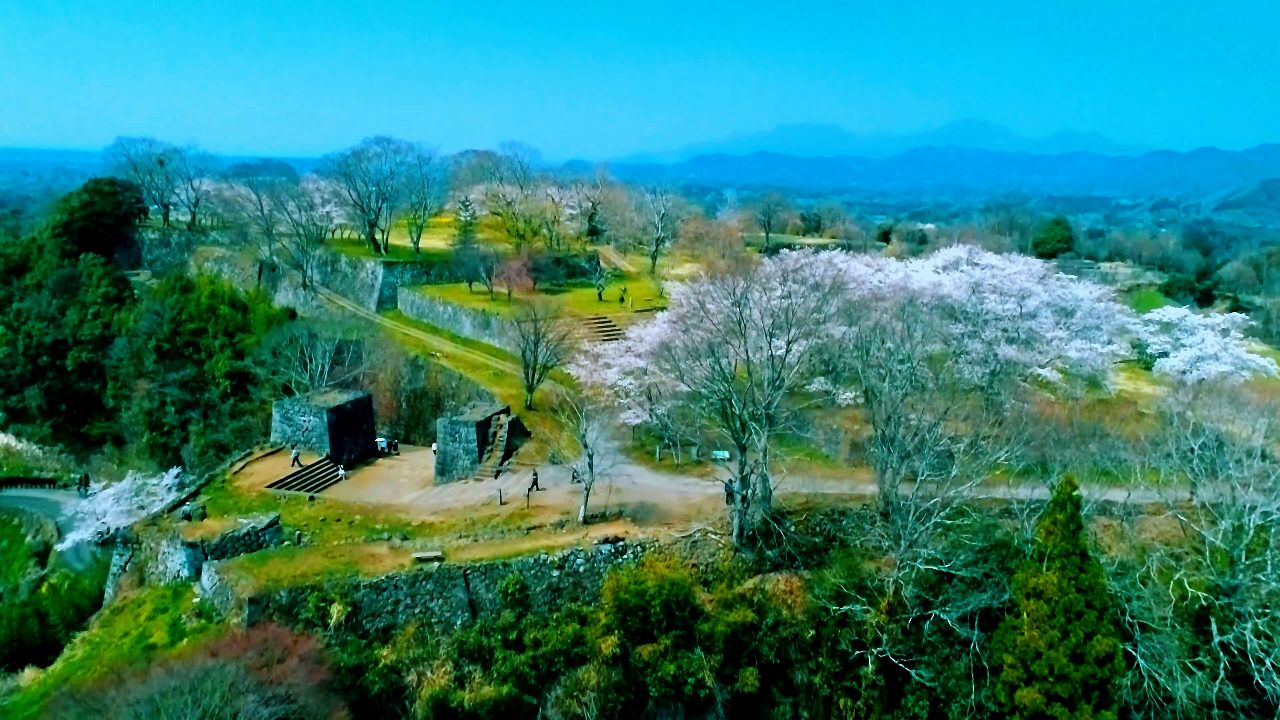 冈城迹的樱花美景