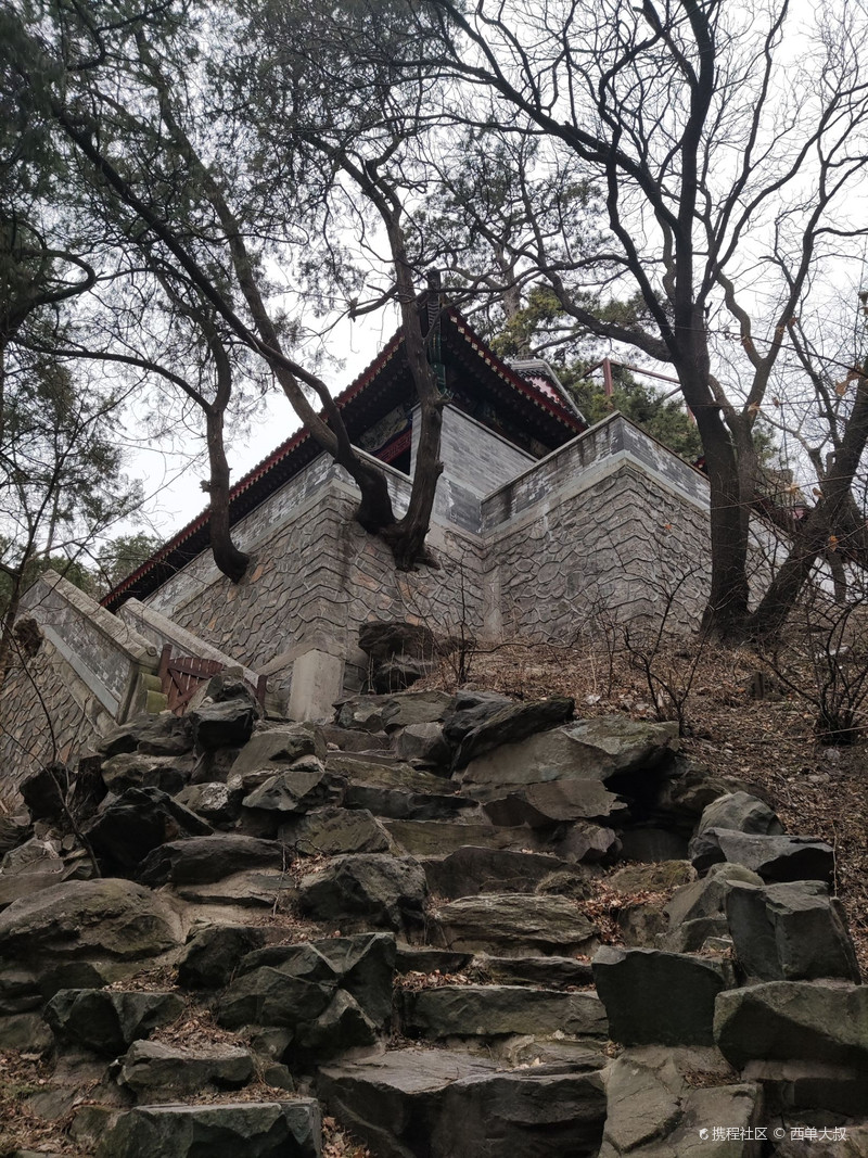 峰主巡山之山上花开迟——