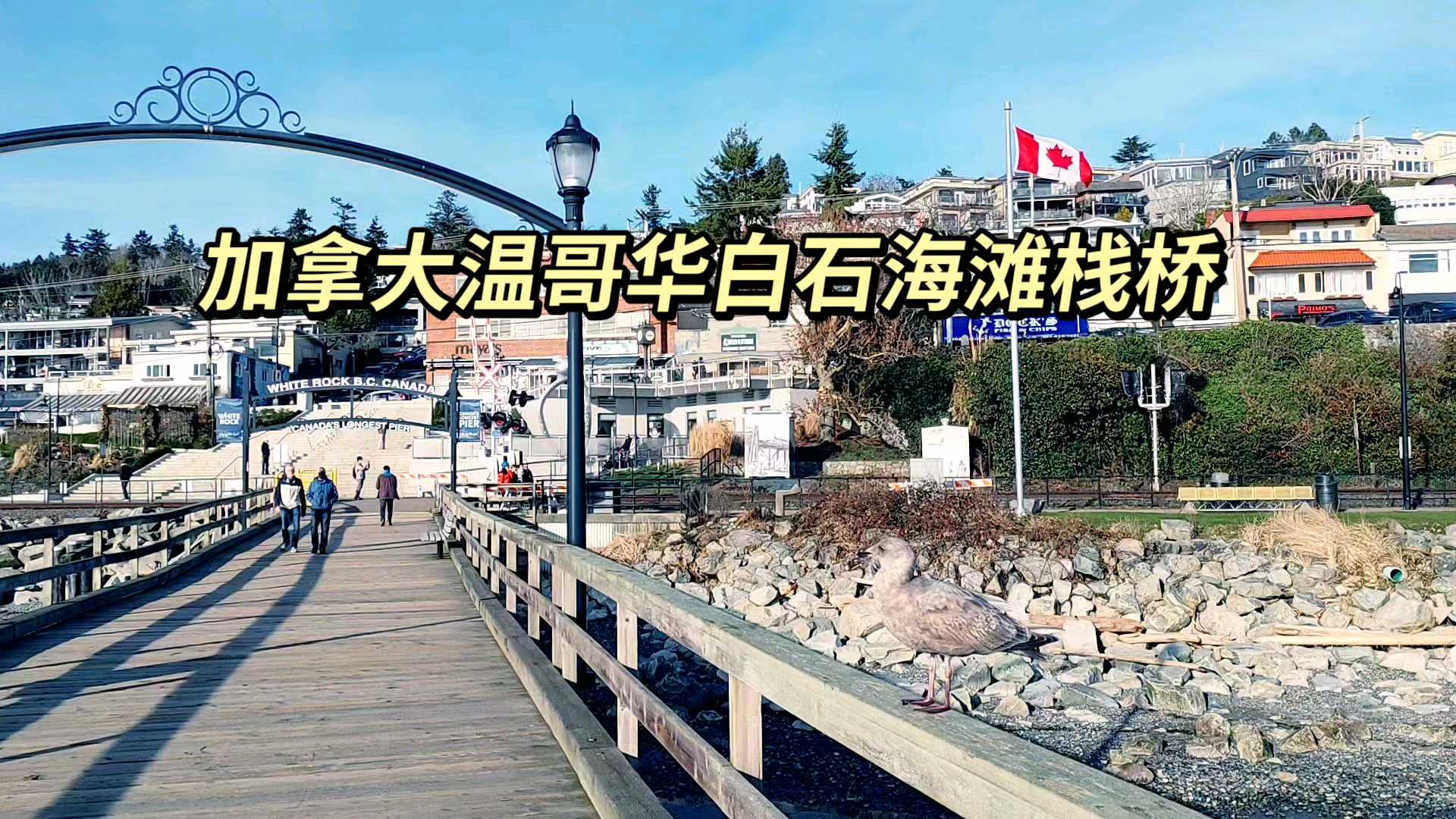温哥华白石海滩栈桥