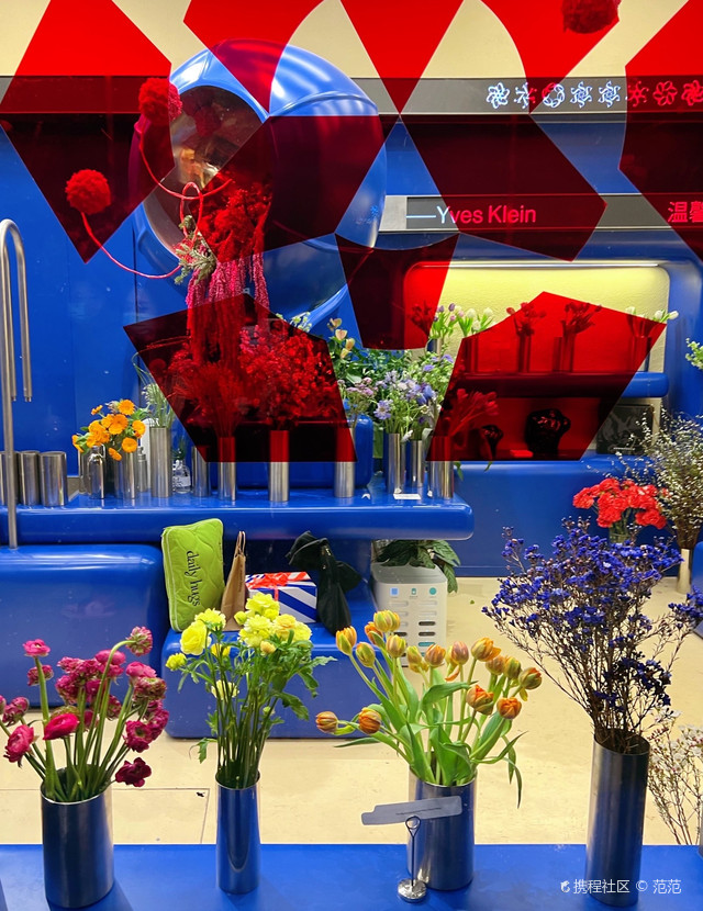 三里屯网红花店一抹克莱因蓝色花海