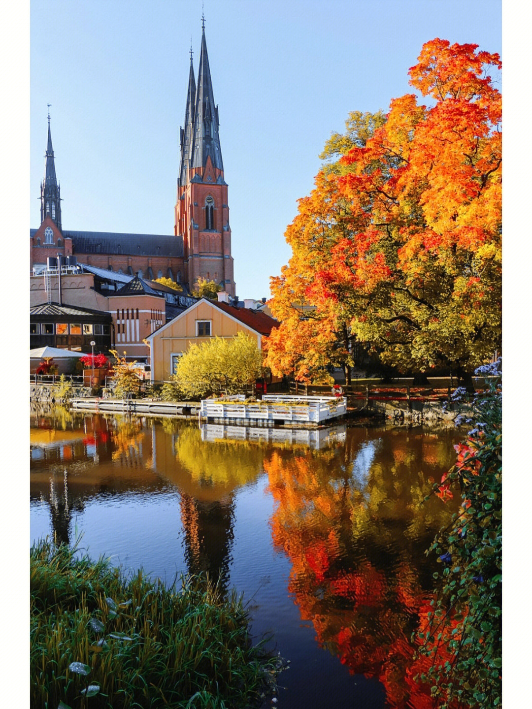 🇸🇪 Uppsala ， 乌普萨拉的秋|||乌普萨拉的秋色！