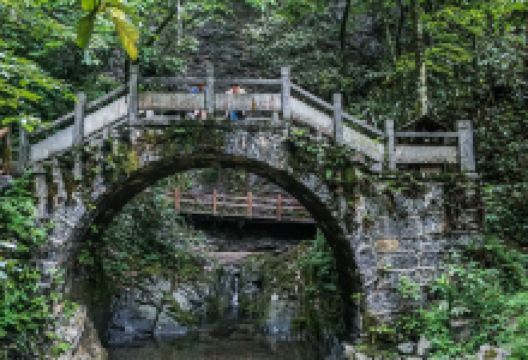 鸡公山原始森林景点图片