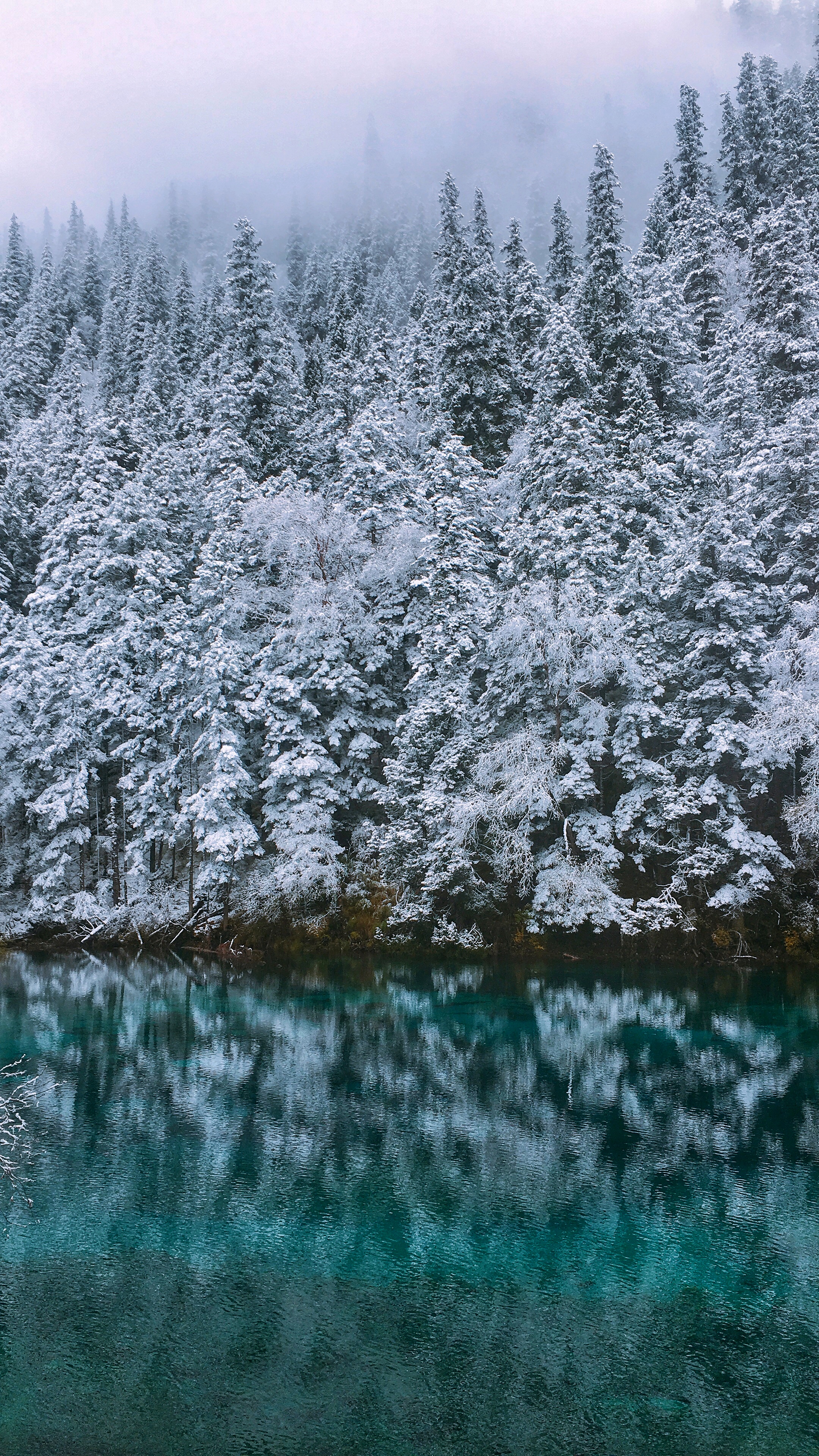 冬日里九寨沟，给你一场冰雪奇缘！