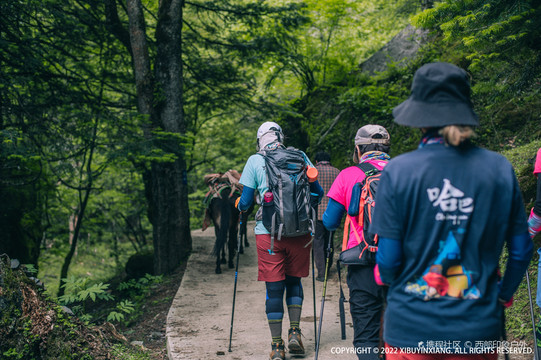 想去徒步,先看这篇户外小技巧!