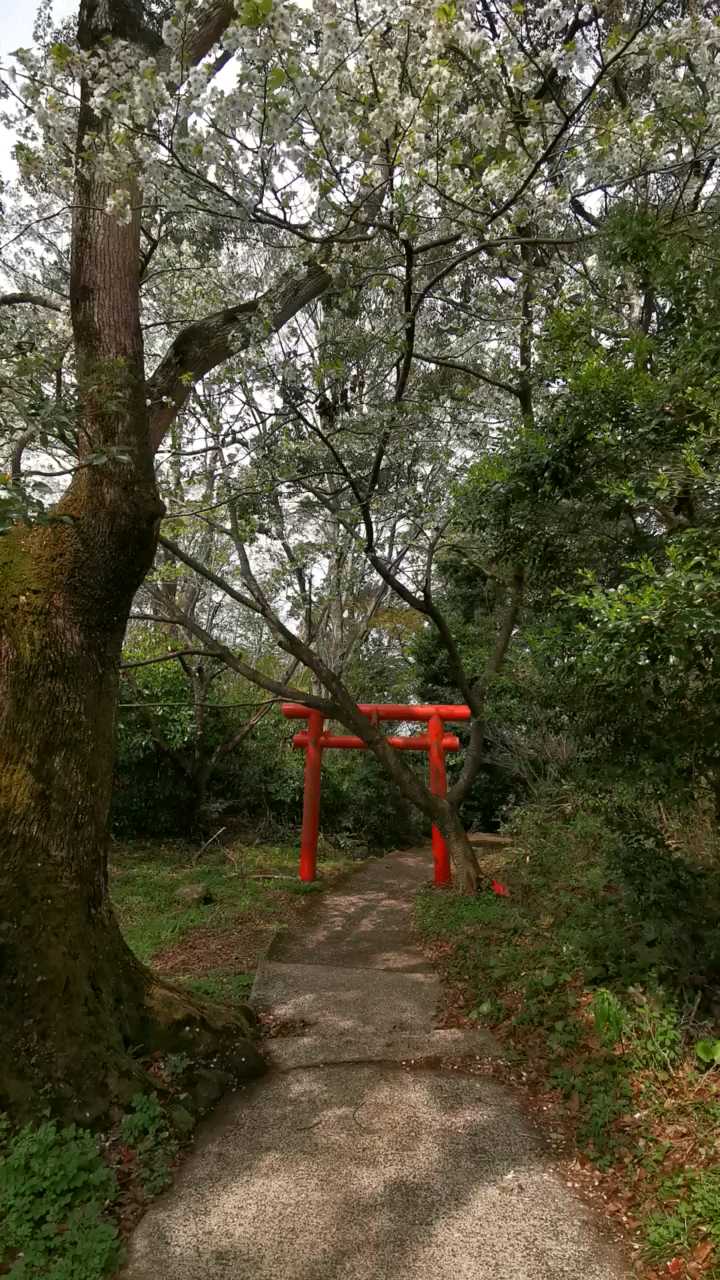 镜山，神社
