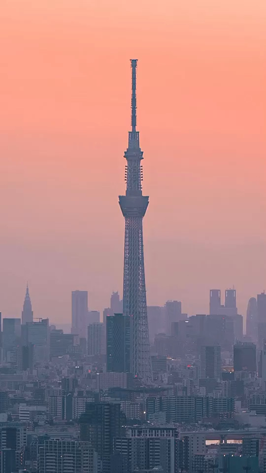 夜の東京タワー……