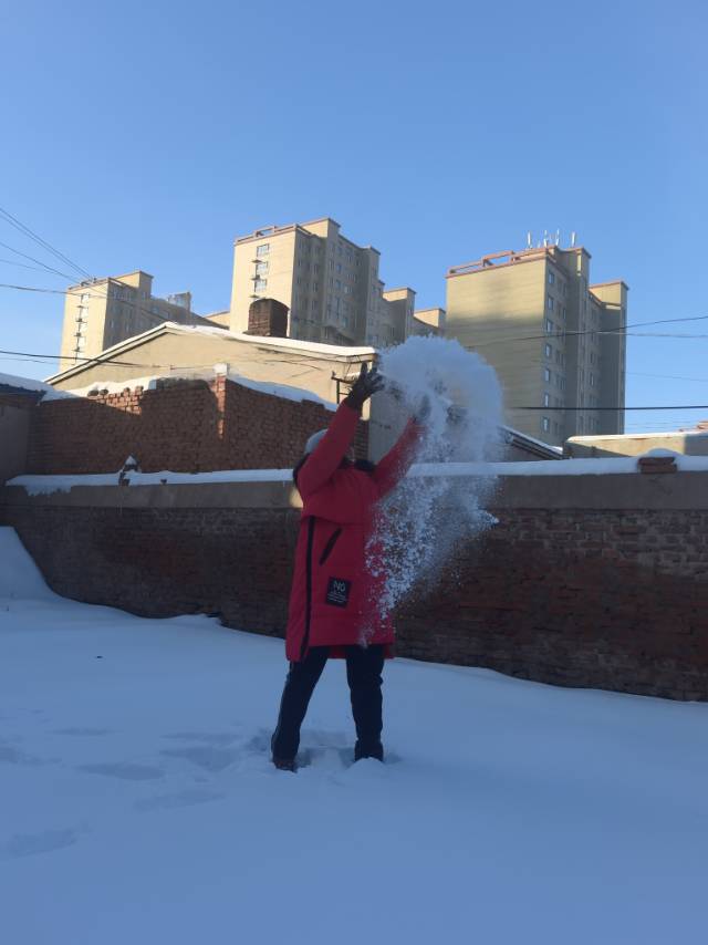 雪趣，就要去南方过冬，有幸赶上了家乡的第一场雪。