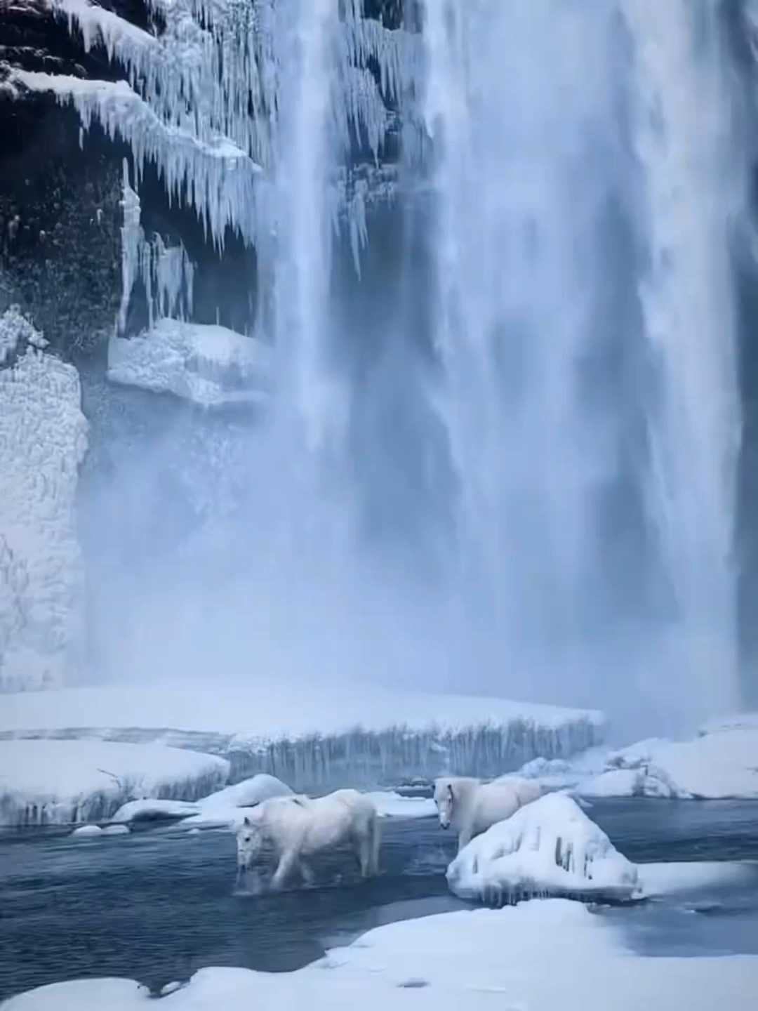 冰岛旅行｜童话故事里的斯科加瀑布