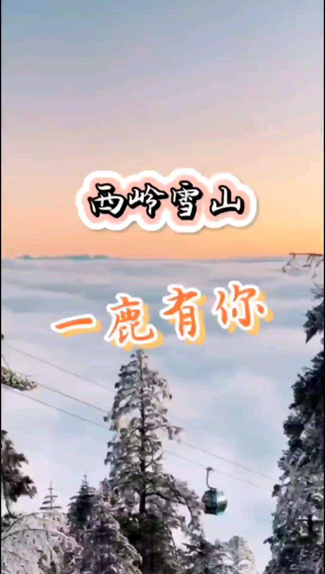 大邑西岭雪山，一鹿有你陪伴！