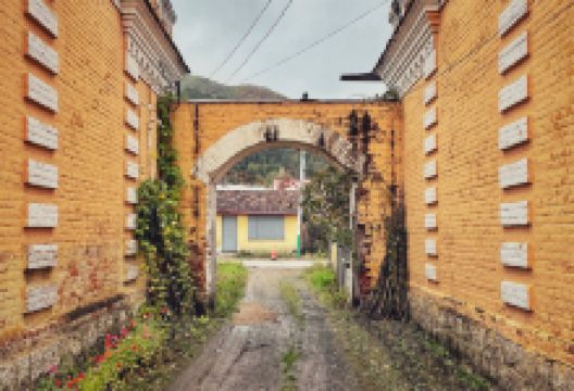 老太太筋饼店(横道河子店)美食图片