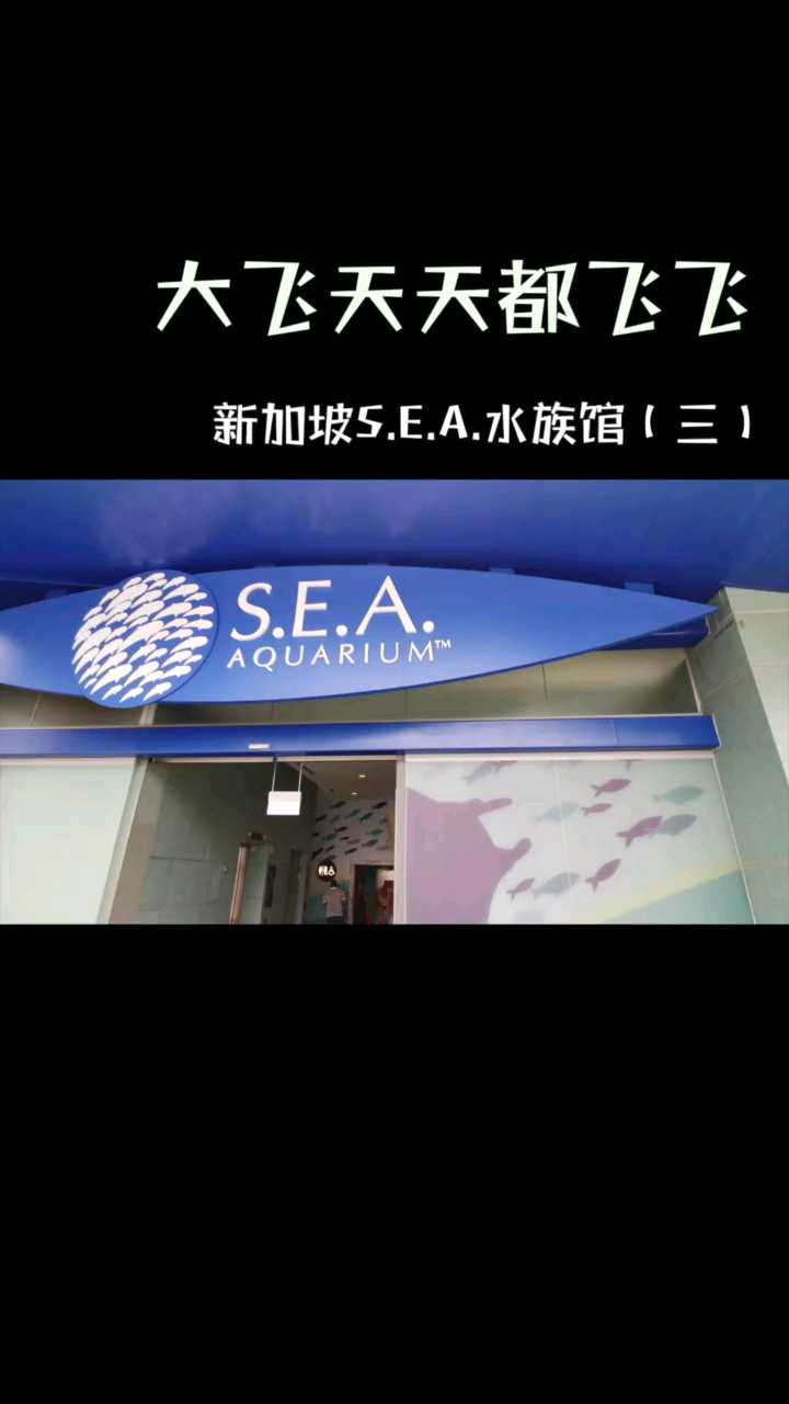 新加坡S.E.A水族馆
