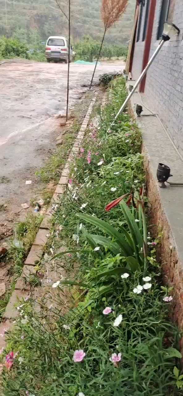 下大雨咯，水满就可垂钓咯