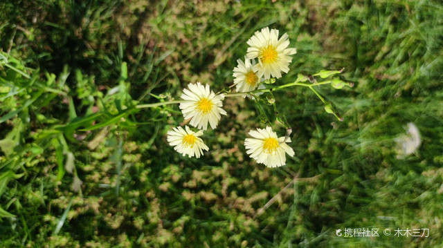 秋韵_天津精武文化公园玩法