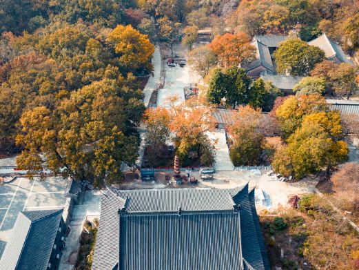神山森林公园