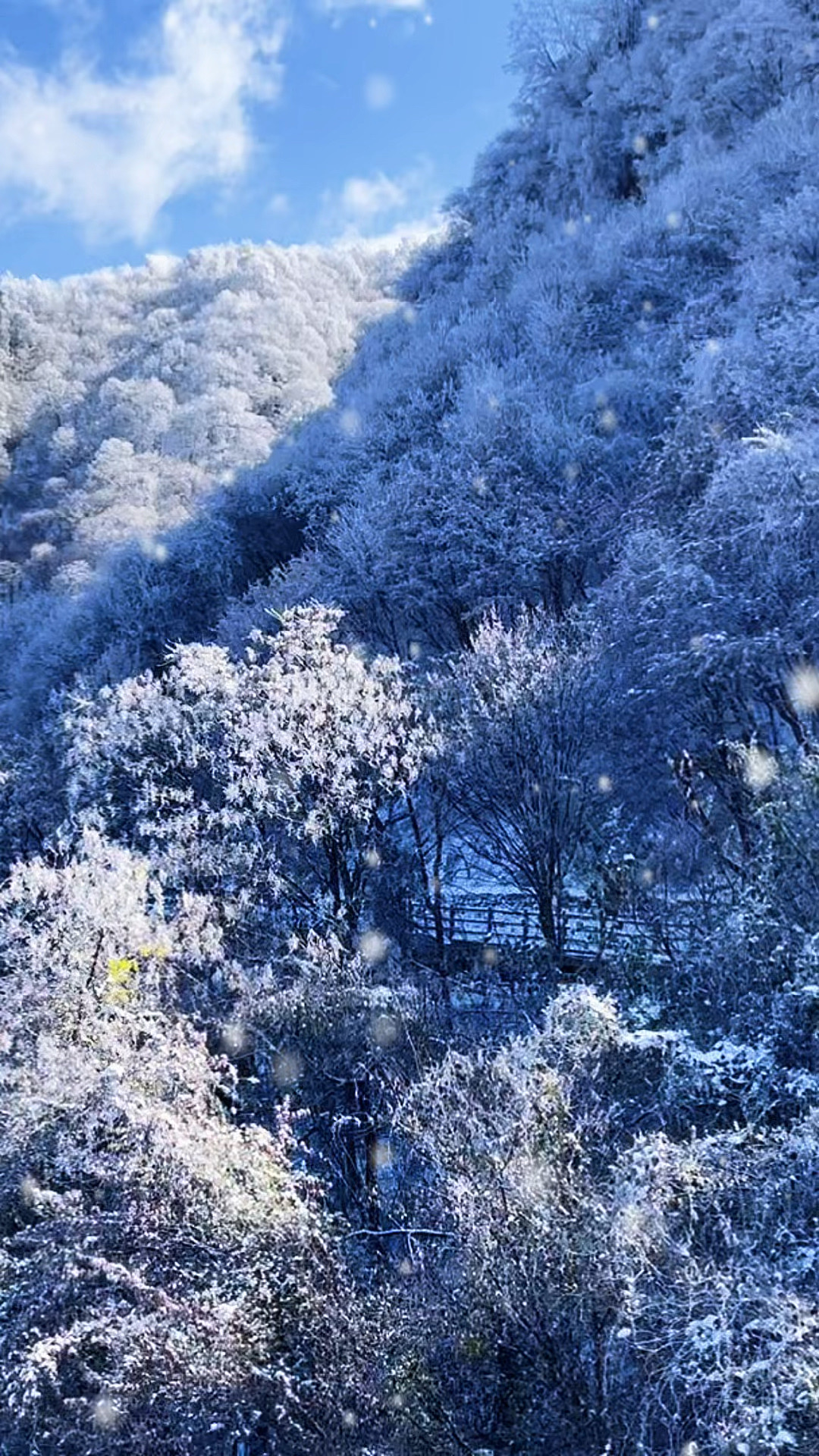 今年的第一场雪来的比较早，少华山的美景值得大家一去[Askance][Askance]