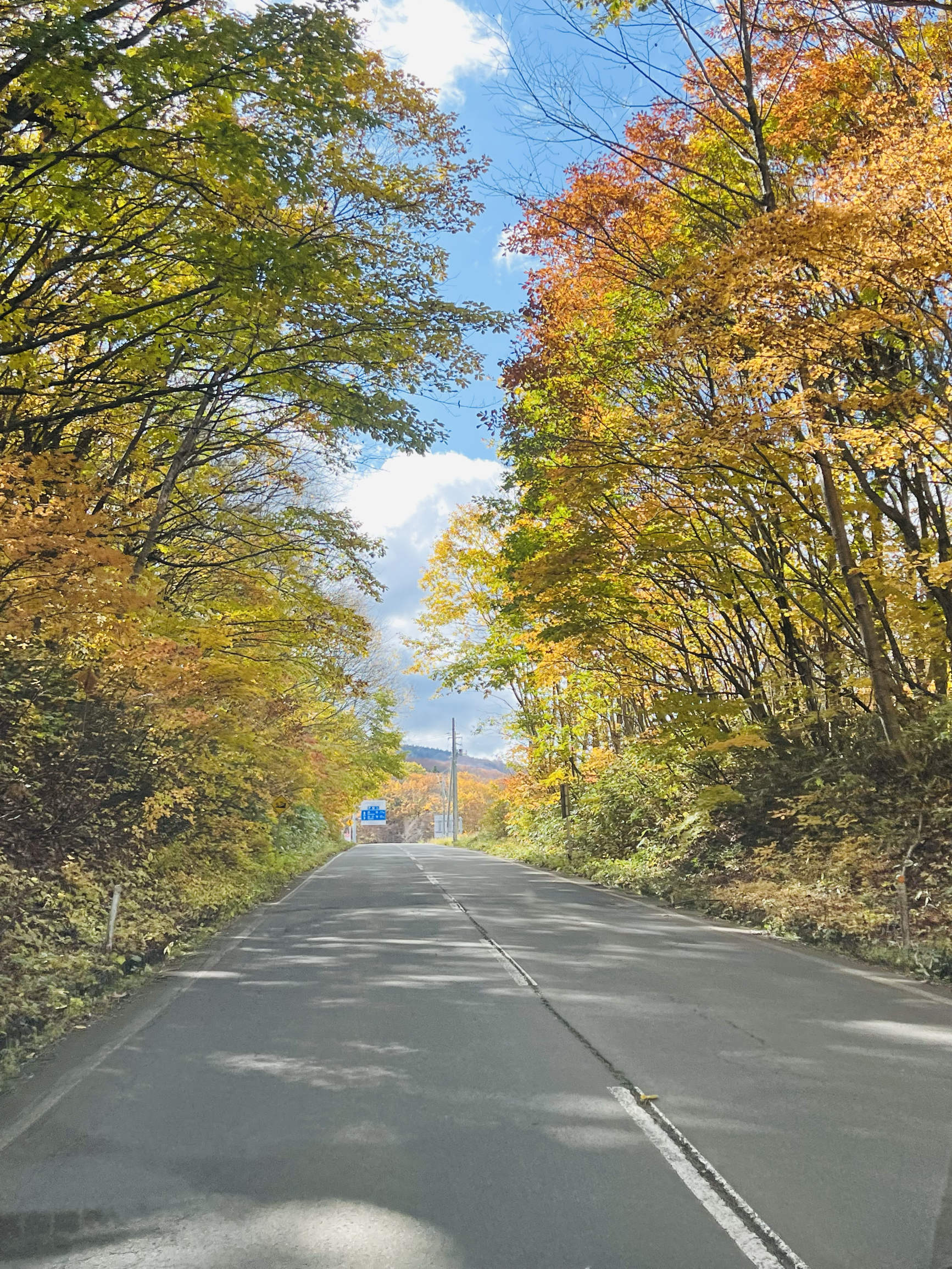 日本红叶之旅-八幡平山