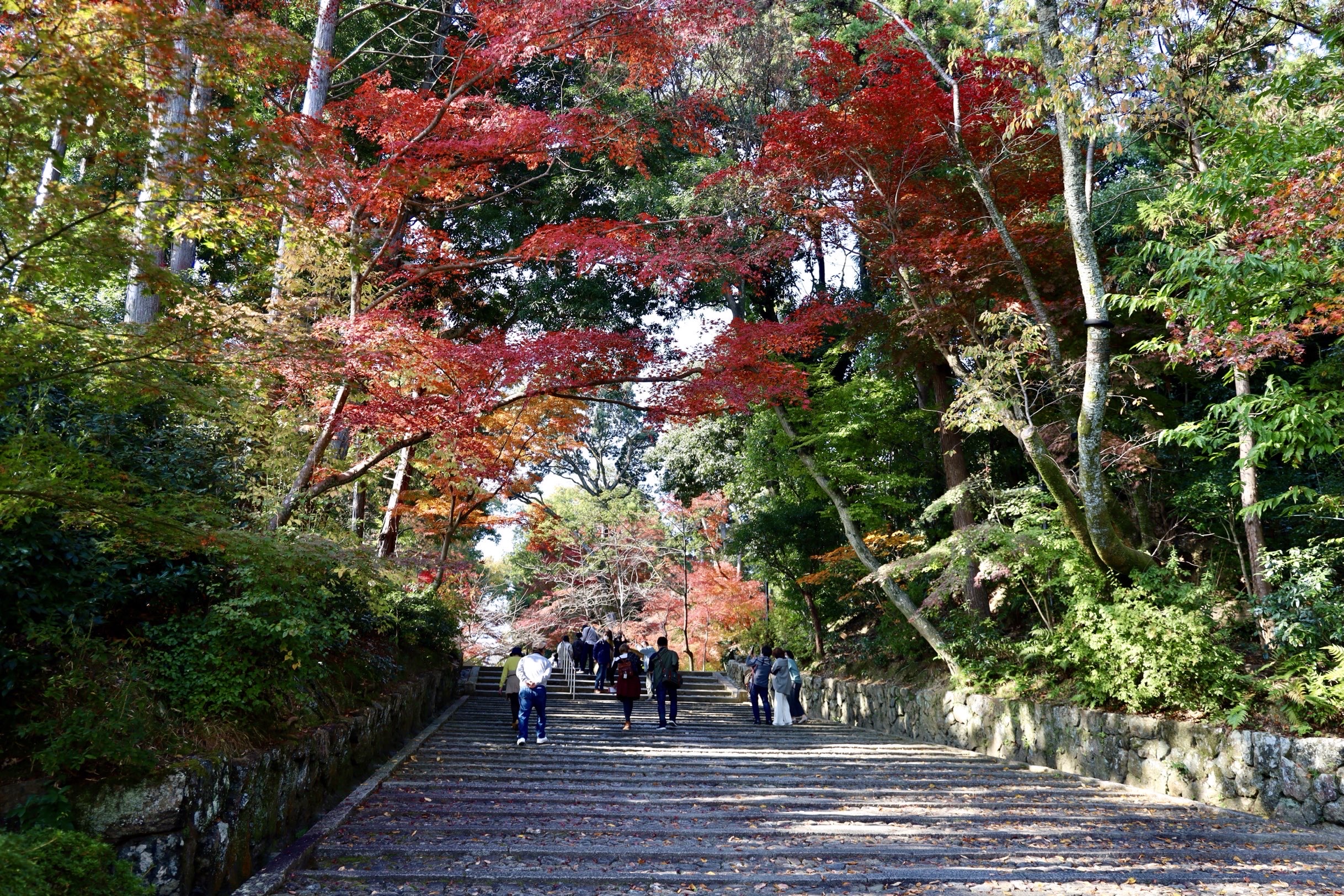 京都西山光明寺