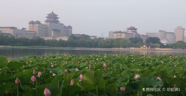 北京莲花池公园