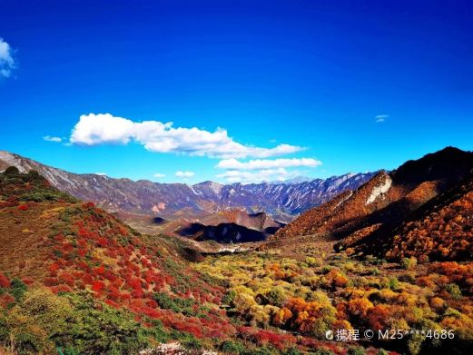 群加国家级森林公园