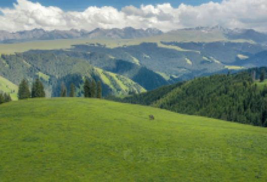 库尔代森林大峡谷景点图片