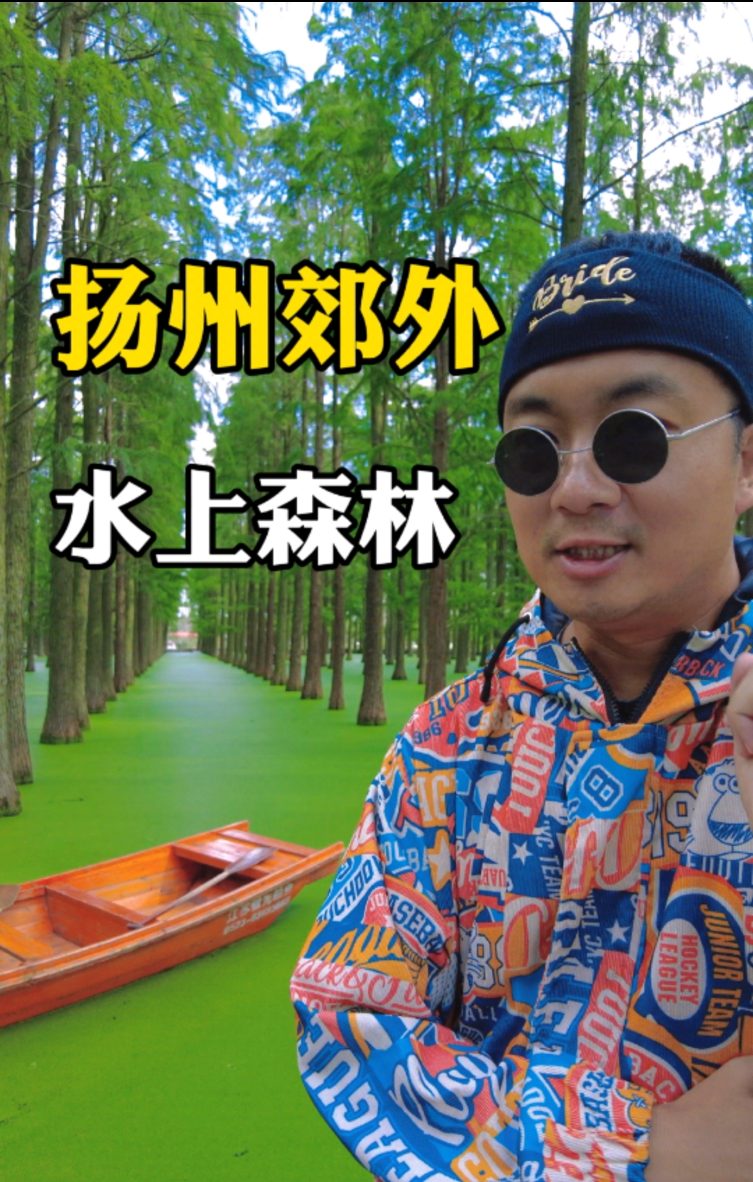 扬州水上森林：现实版绿野仙踪