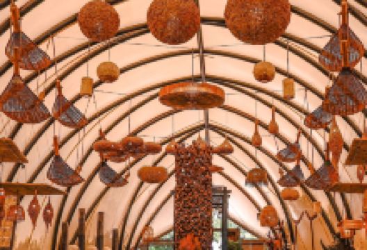 南沙水鸟世界生态园景点图片