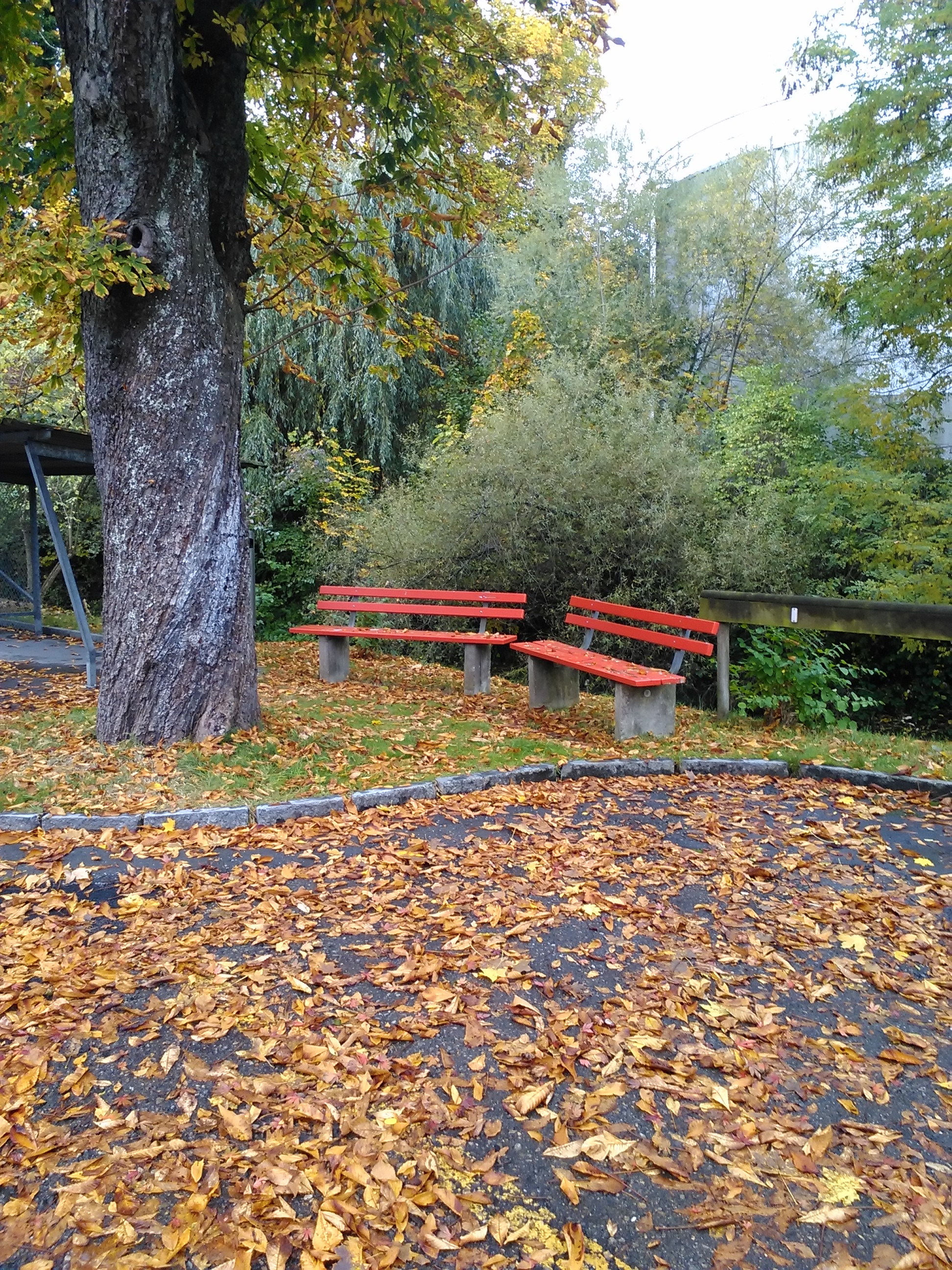 乌茨维尔的秋天