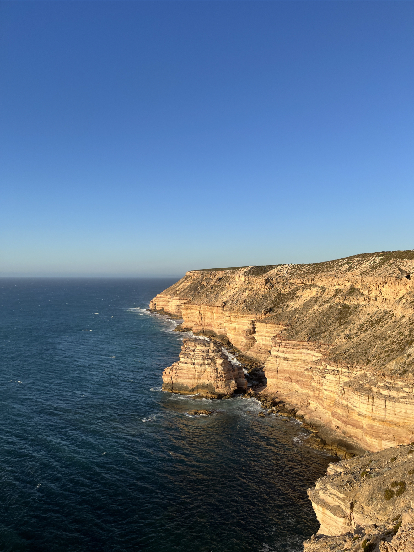 Day3 西澳-Kalbarri Coastal Cliff