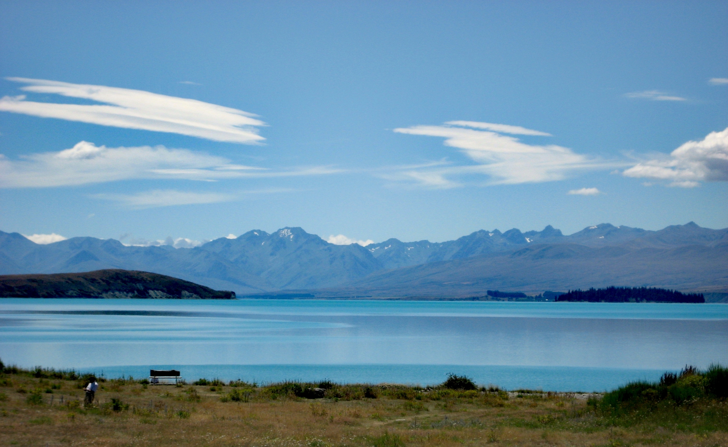 吃在新西兰# 特卡波湖Mackenzie'