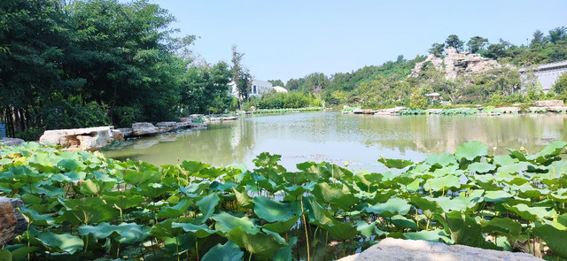 济南攻略|虞山文体公园