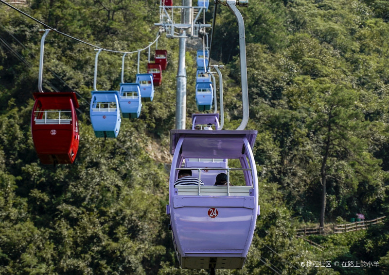 千岛湖适合拍照的索道,很粉很可爱-携程攻略