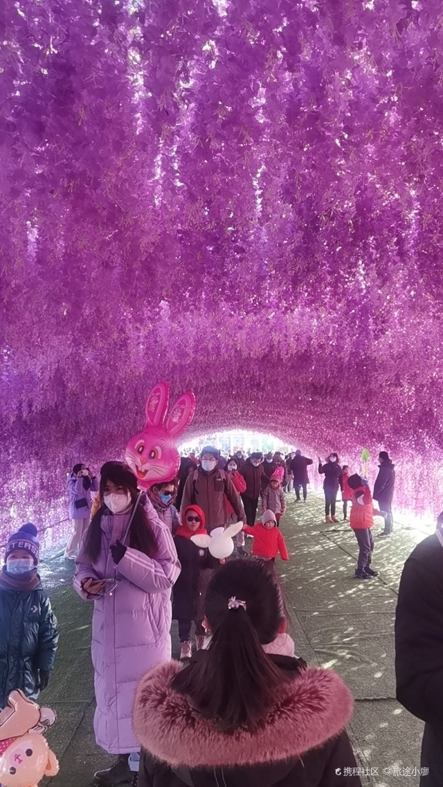 微信象山麻将有挂吗_微信象山麻将室_麻将桌微信