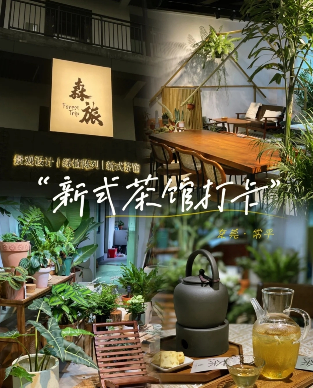 东莞·常平探店藏在闹市里的新式茶馆