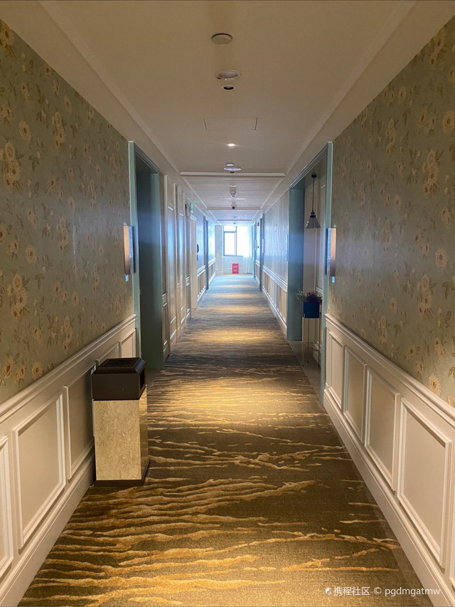 探店篇-株洲莫林酒店曼哈顿广场店