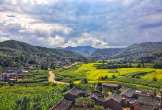 禄丰博物馆景点图片