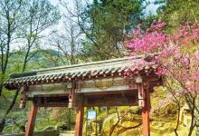 桃花源景点图片