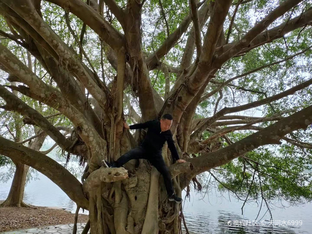 军屯热带花果园游玩攻略来啦_超全干货