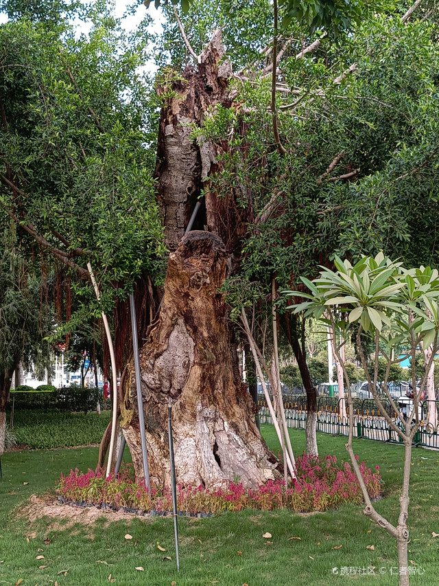 厦门攻略|灌口东部新区公园