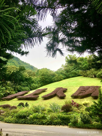 深圳仙湖植物园