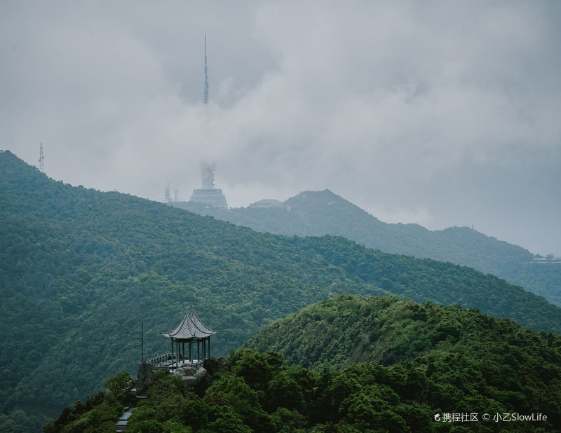 鹏城第一峰|梧桐山徒步路线，你知道多少？