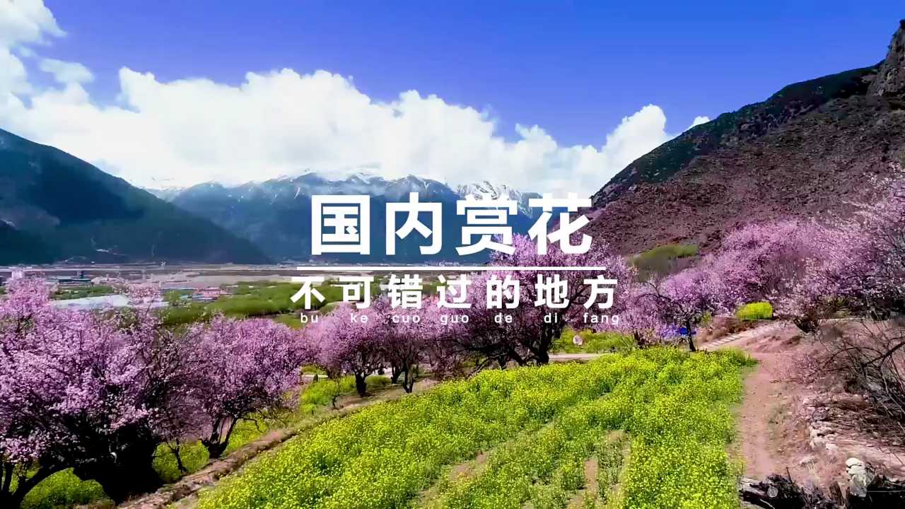 一生不可错过的【花海】