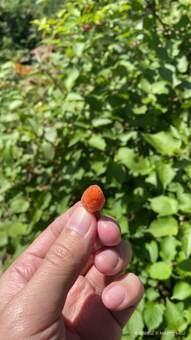 福建省泉州市安溪县湖头镇泰山岩