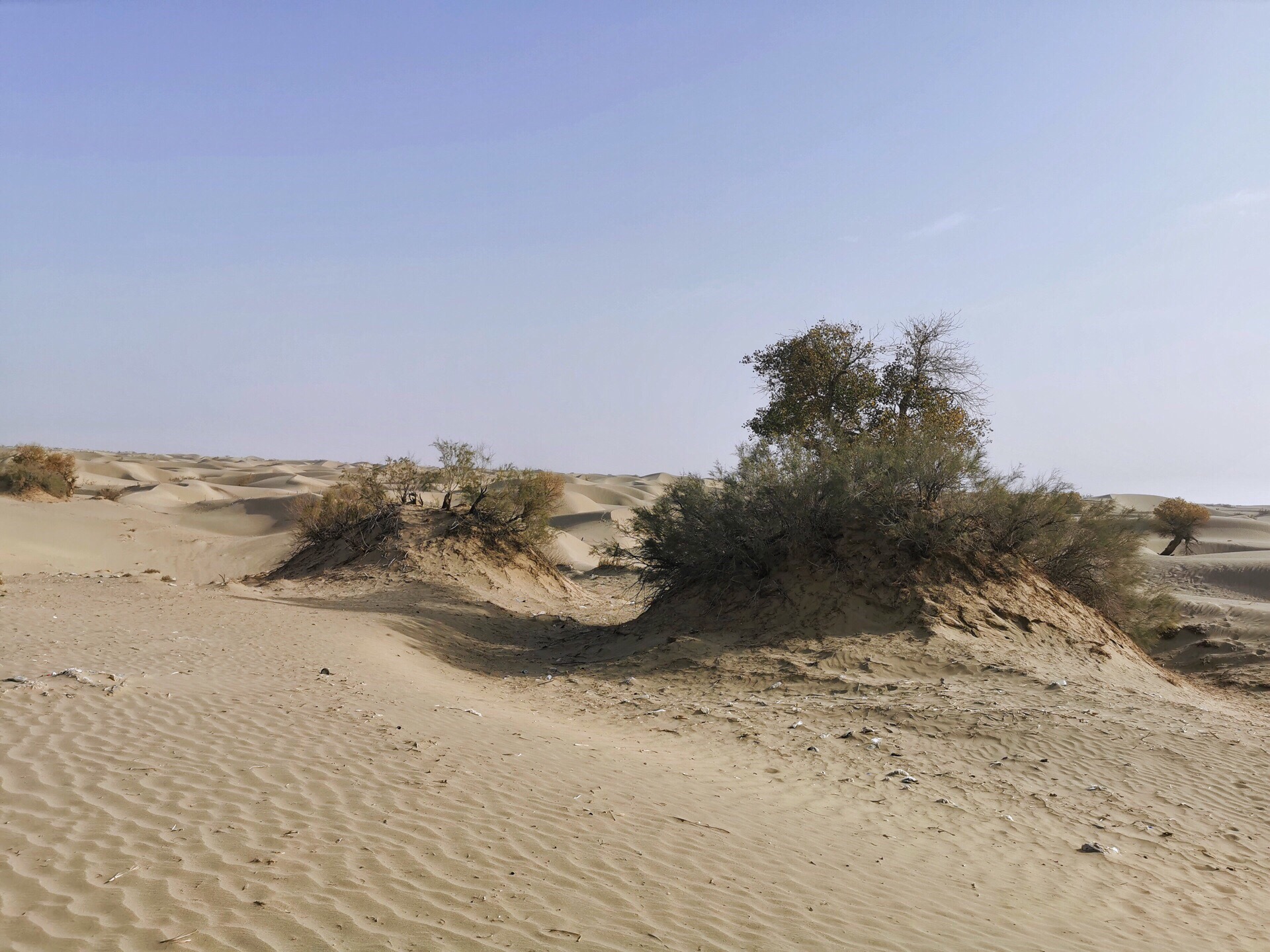 感受南疆风景篇-沙漠公路