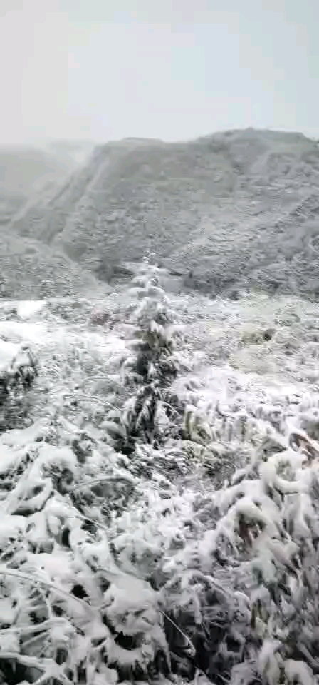 瑞雪兆丰年----张家界北岸轻奢