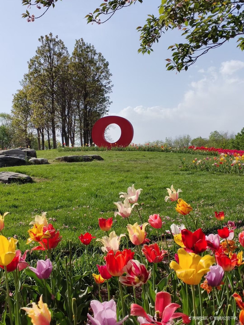 北京国际鲜花港