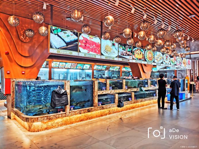 Gallery 2