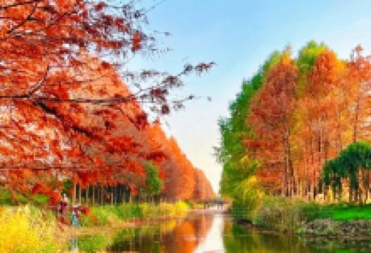 九亩村景点图片