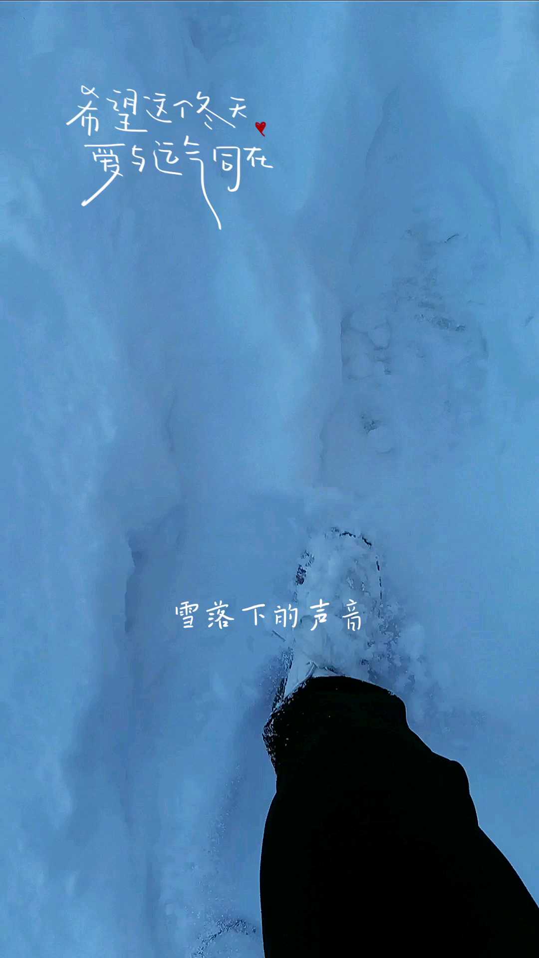 这个冬天，来少华山期待与你相遇 一起踩雪 打雪仗 看雪景 我们不是真正渴望旅行 我们不是真正渴望看山