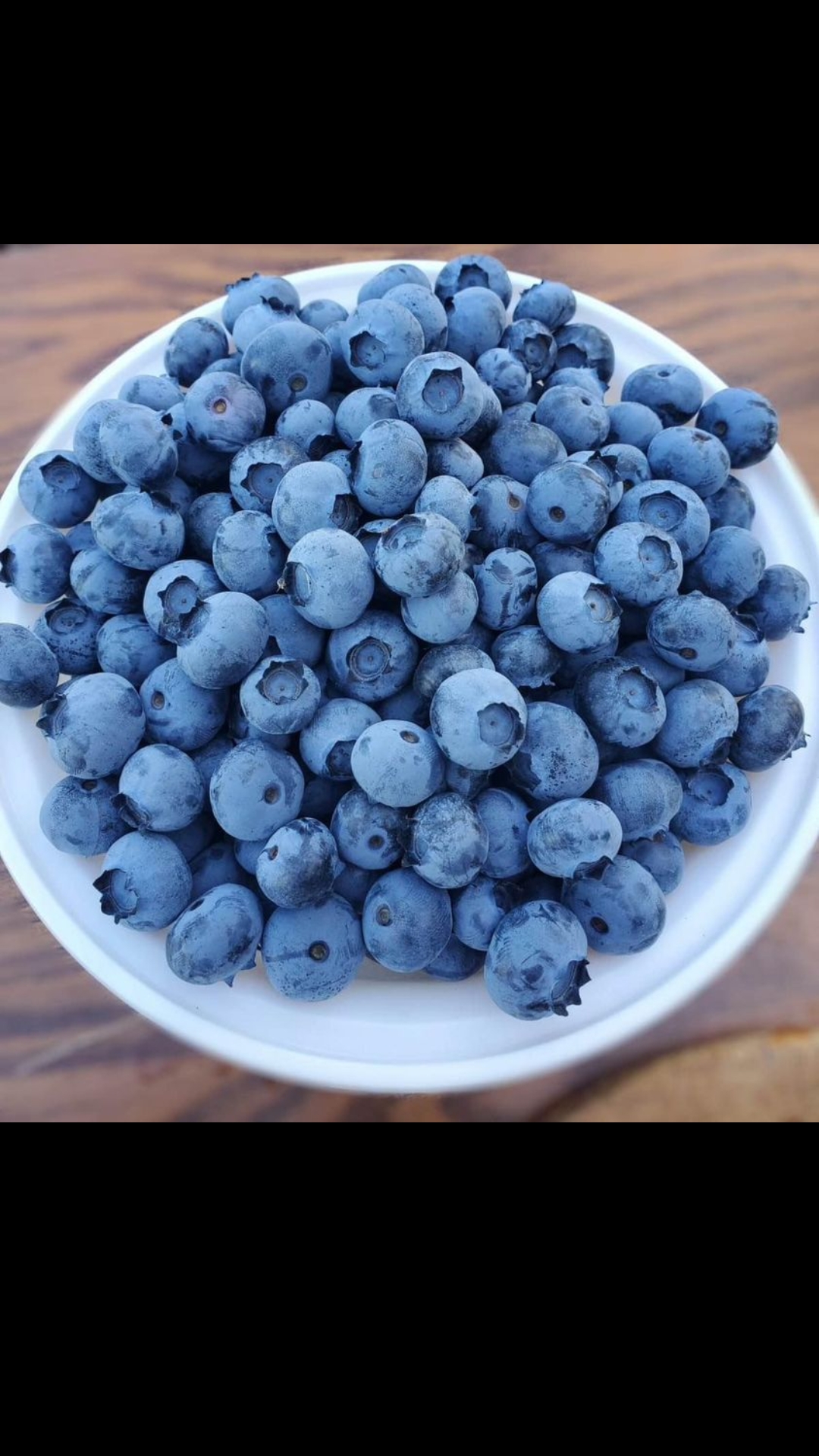 BC的蓝莓与樱桃不愧是当之不愧的特产